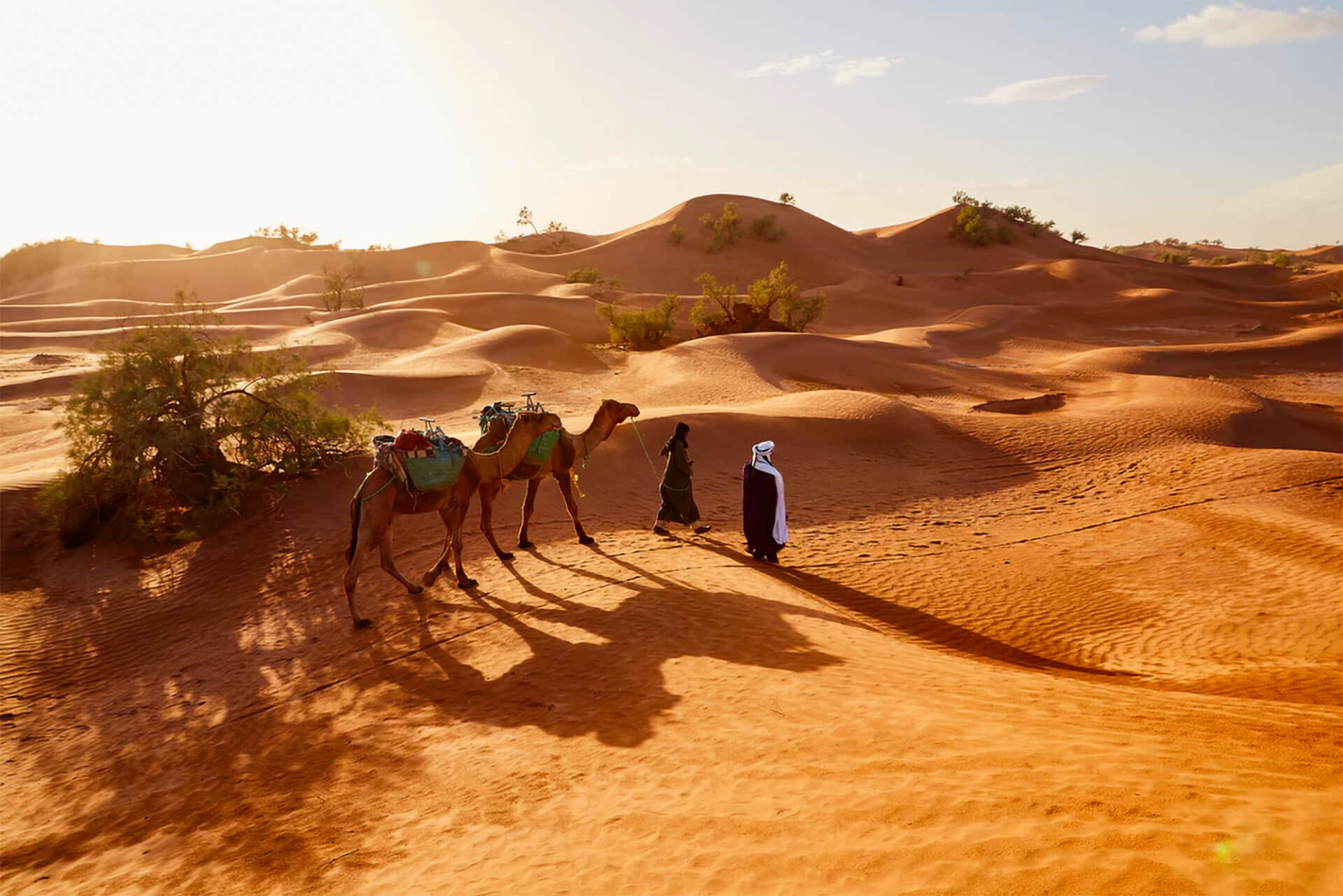 Bible Women - Walking in Desert with Camels