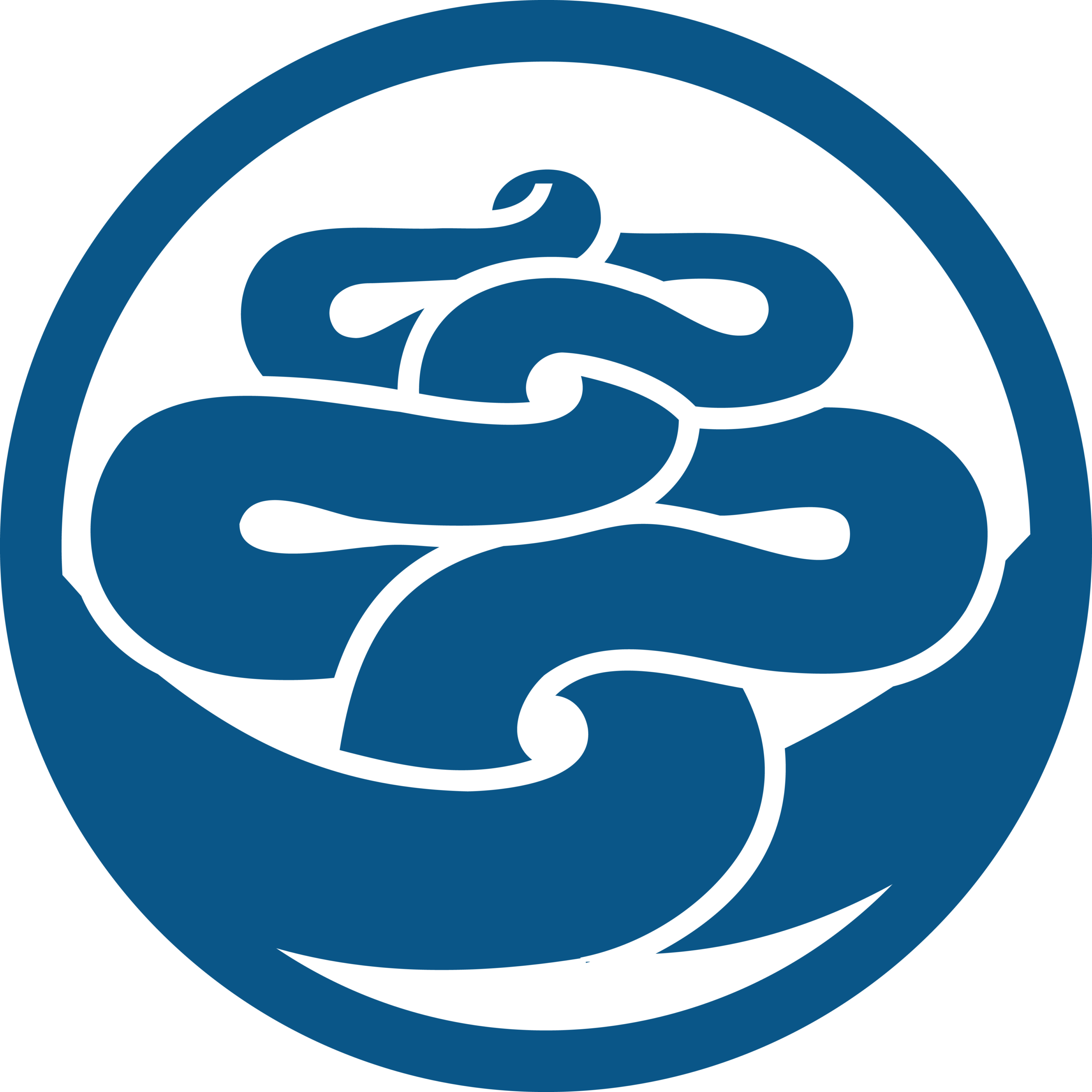 A round logo with two dragon's tails intertwined.